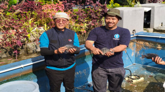 Seameo Biotrop Dukung Ketahanan Pangan & Program MBG Lewat Inovasi di Bidang Akuakultur