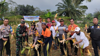Polsek Megamendung Tanam Jagung Hibrida Bersama Petani, Dukung Ketahanan Pangan Nasional