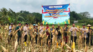 Panen Raya Jagung 4 Hektare di Nanggung, Kapolsek Tegaskan Komitmen Dukung Swasembada Pangan
