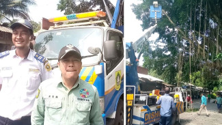 Demi Keselamatan Pengguna Jalan, Pohon Beringin Besar di Ciseeng Ditebang