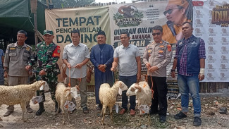 Kapalang Misteri Tebar 300 Domba Kurban untuk Masjid dan Pesantren di Bogor
