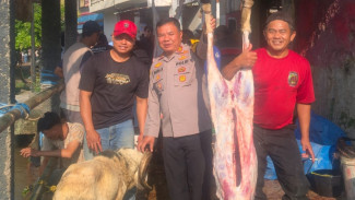Polsek Cigudeg Tebar Kepedulian, Salurkan Hewan Kurban dan Hadirkan Rasa Aman untuk Warga