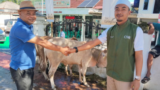 ANTAM UBPE Pongkor Tebar Kepedulian Iduladha, Salurkan 17 Sapi dan 52 Kambing Kurban