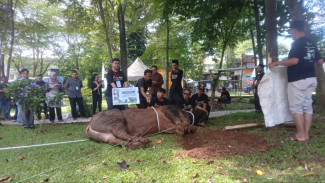 Kurban Series Dompet Dhuafa Jangkau Indonesia hingga Palestina