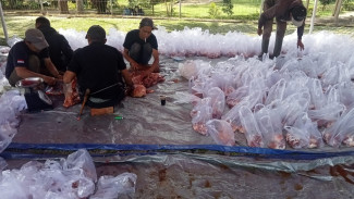 Warga Puncak di Sawer Daging Kurban Oleh PTPN 1 Regional 2, Amat Sebut Berkah Idul Adha