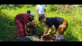 Bupati Bogor Rudy Susmanto Tebar Kepedulian Iduladha Bersama BMSN Bogor Raya