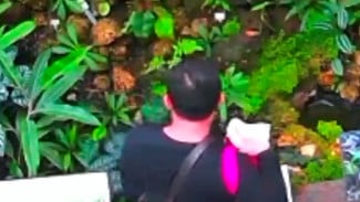 Pengunjung Asal Jakarta Ditangkap Usai Curi Tanaman Langka di Kebun Raya Bogor