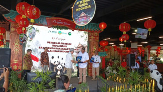 Baby Giant Panda Pertama di Indonesia Resmi Diperkenalkan, Bupati Bogor Sebut Simbol Persahabatan Dunia