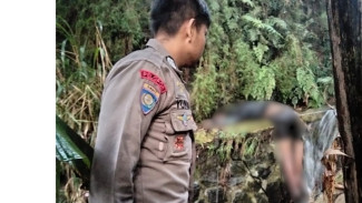 Pengendara RX King Tewas di Jalur Bocimi, Diduga Tabrak Tiang Listrik lalu Terjun ke Parit