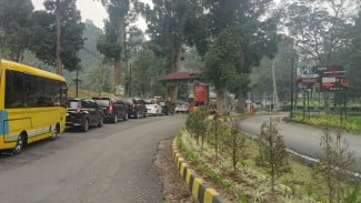 Libur Sekolah 2026, Jalur Puncak Padat, Gunung Mas Siapkan Glamping dan Beragam Wahana Wisata