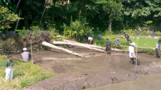 Demi Agustusan, Warga Kampung Rawa Rela Mencangkul Sawah