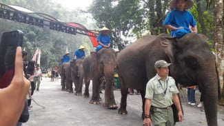 Taman Safari Indonesia Gelar Parade Satwa, Semarakkan HUT ke-81 RI