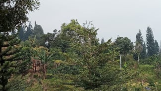 img_title
