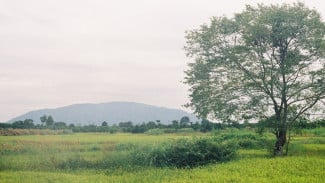 img_title