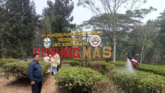 Kemarau Panjang, Camat Cisarua Ingatkan Warga dan Wisatawan Waspada Kebakaran