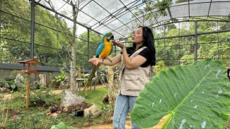 September Ceria di Rivera Bogor, Beli 1 Tiket Terusan Gratis 1 Tiket HTM