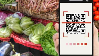 QRIS Makin Populer, Ini Manfaatnya bagi Bisnis UMKM