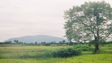 img_title