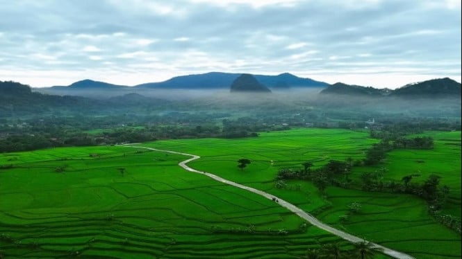 Wisata alam Sawah Korod di Kota Bogor