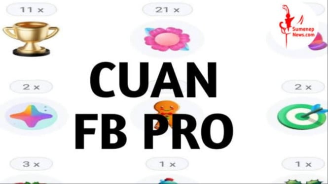 Menghasilkan cuan di Fb pro