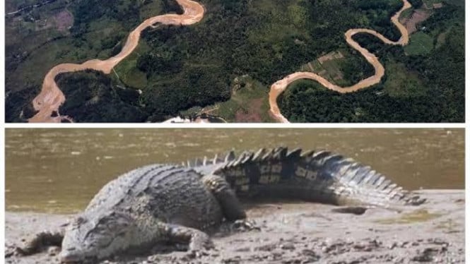 Misteri sungai Kapuas