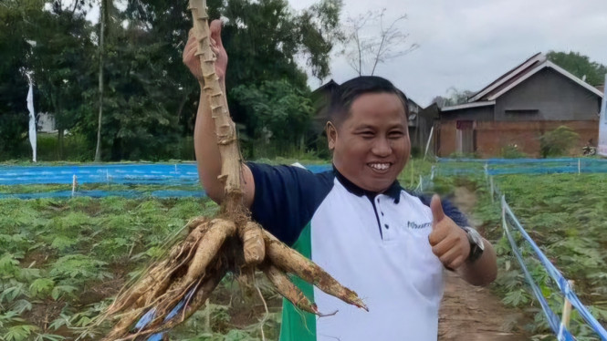 Artis pelawak Narji