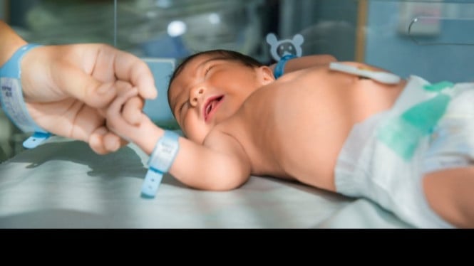 Ilustrasi bayi tabung/freepik