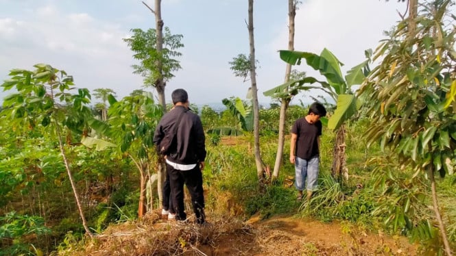 Prasasti Nyalindung yang hilang