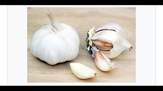 Bawang Putih