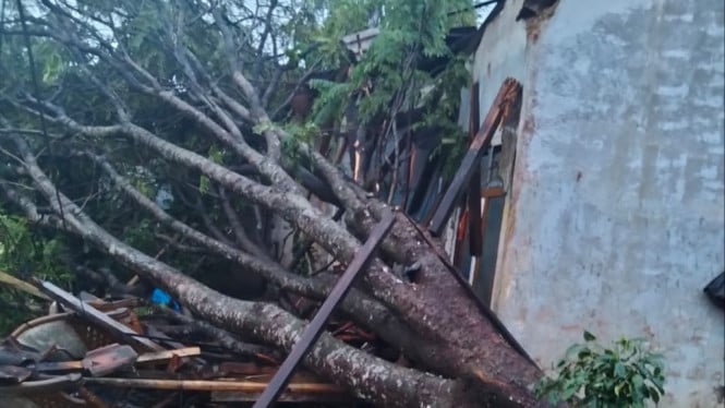 Hujan disertai angin kencang di Ciampea, Kabupaten Bogor.