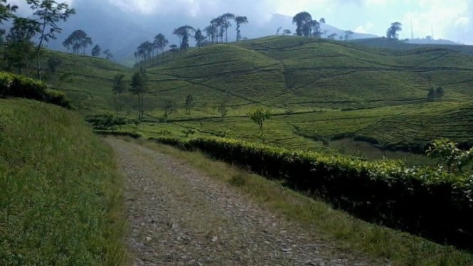 Dayeuh Manggung