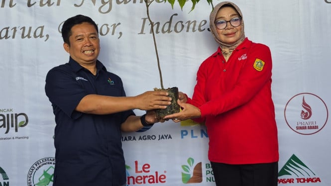 Penyerahan bibit tanaman dari PTPN 1 Regional 2.