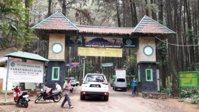 Gunung Pancar Bogor Tempat Healing