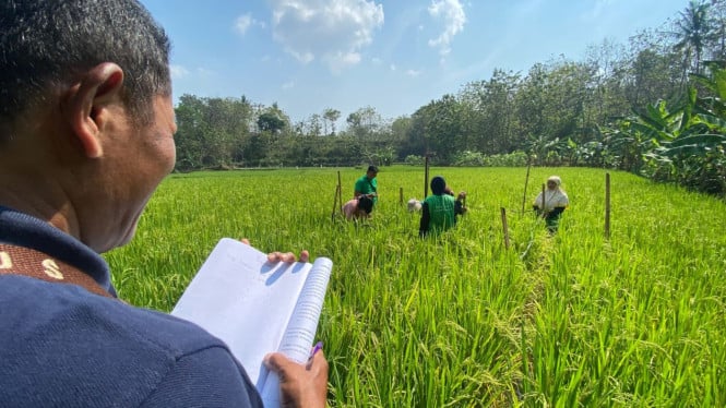 Petugas sekolah lapangan di Desa Pojok, Boyolali.