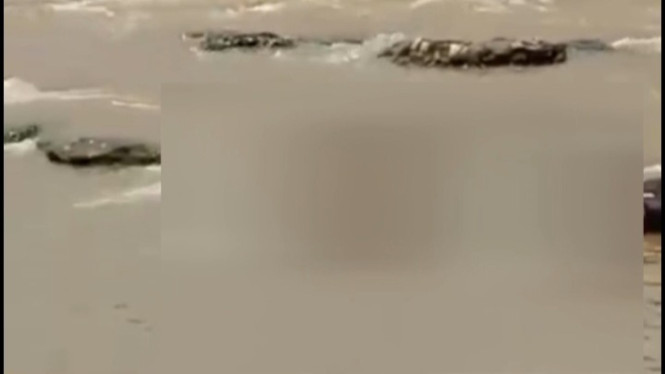 Penemuan Mayat Mengambang di Sungai Cisadane