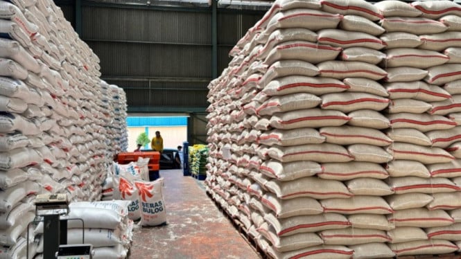 29.990 Ton Beras Turun Mutu di Gudang Bulog