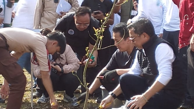 Wakil Menteri Lingkungan Hidup, Diaz Hendropriyono