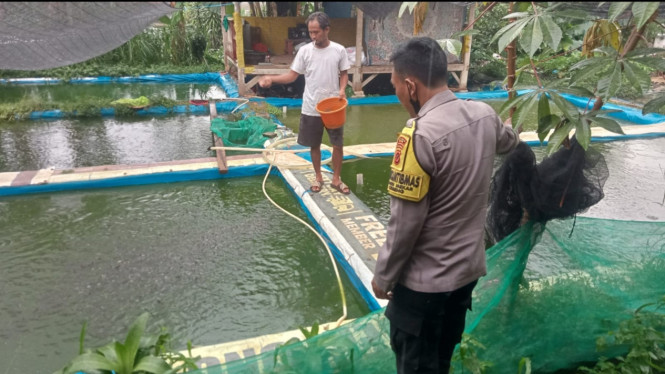 Polsek Parung dorong warga budidaya ikan.