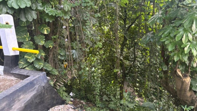 Wanita muda diduga dikejar pria hingga lompat ke jurang di Paledang Bogor.