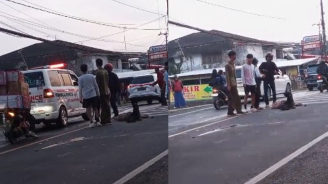 Kecelakaan adu banteng terjadi di Jalur Puncak Megamendung, Bogor.