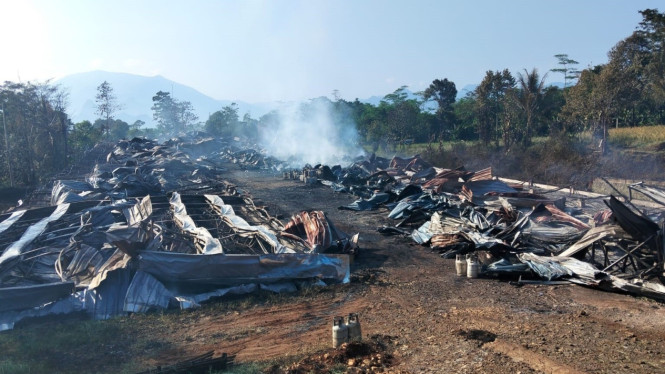 Kebakaran hebat melanda kandang ayam potong di Desa Karyamekar, Kecamatan Cariu, Kabupaten Bogor, Selasa 19 Mei 2026 dini hari.