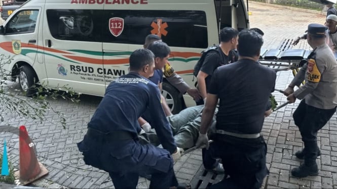 Pengunjung Hotel di Ciawi Terjatuh dari Lantai 16, Selamat Berkat Tertahan Pohon