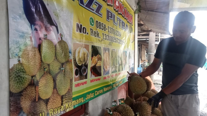 Saung Durian Kang Nakum di Tamansari Bogor menawarkan durian lokal premium dengan cita rasa khas.