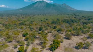 Ngetrip, Jelajah Pesona Taman Nasional Baluran si Afrikanya Indonesia