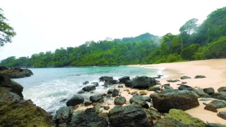 Jelajah Pantai Teluk Hijau Banyuwangi, Pesona Laut yang Indah di Ujung Timur Pulau Jawa
