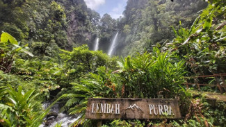 Bikin Kepo Will Smith, Begini Eksotisnya Situ Gunung Lembah Purba Sukabumi
