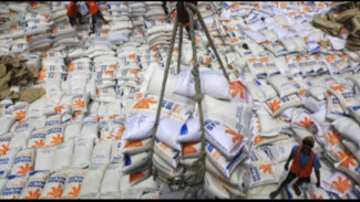 Kasus Demurrage Impor Beras, Penegak Hukum Diminta Punya Perspektif Selamatkan Petani