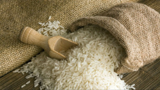 Harga Beras Masih Tinggi, Bulog-Bapanas Disebut Tidak Pro Rakyat