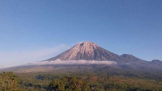 Senin Pagi, Gunung Semeru Alami 31 Kali Gempa Letusan hingga Guguran