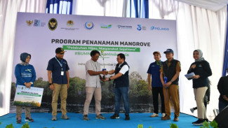 Lestarikan Lingkungan, Pelindo Gelar Program Rehabilitasi Mangrove 2024